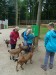 DSC02562 DSC02562
