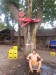 20180804_154809(0) 20180804_154809(0)