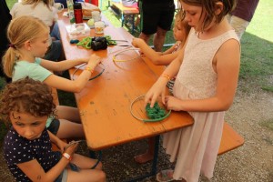 IMG_6803 IMG_6803