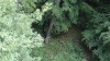 10_20170810_105205 10_20170810_105205