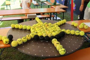 IMG_6728 IMG_6728