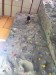 IMG-20170908-WA0003 IMG-20170908-WA0003
