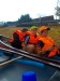 DSCN3289