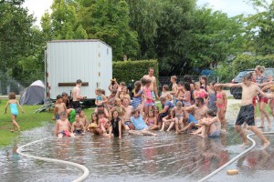 IMG_6782 IMG_6782