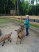 DSC02563 DSC02563