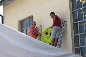 IMG_6840 IMG_6840
