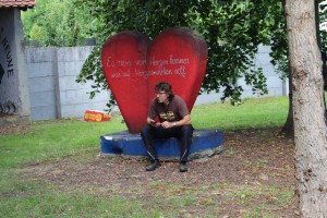 IMG_6729 IMG_6729