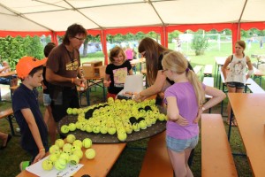 IMG_6749 IMG_6749