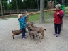 DSC02568 DSC02568